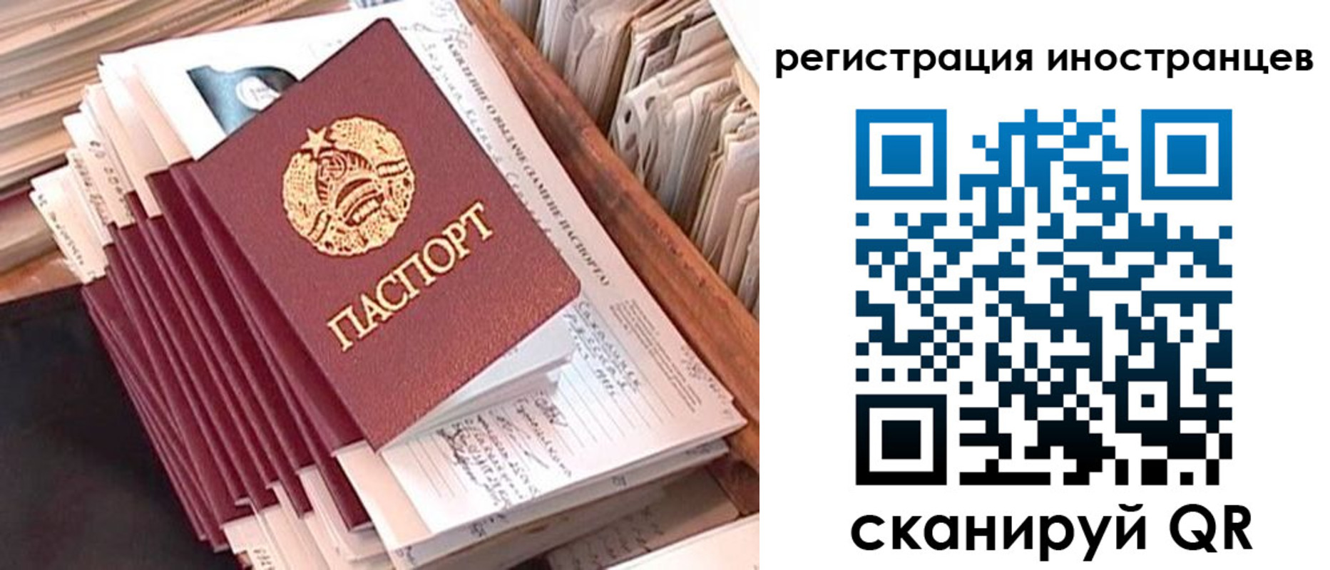 прописка для школы в Вологде